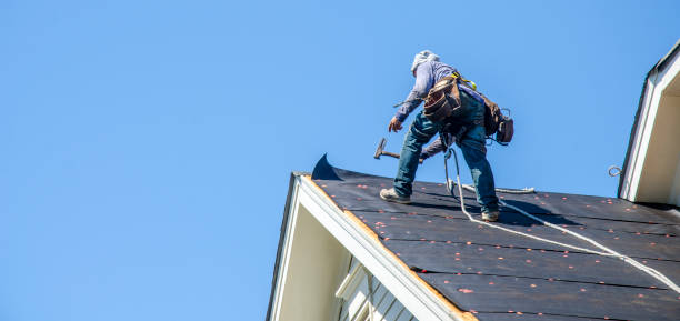 Best Roof Maintenance Services  in Laware City, DE